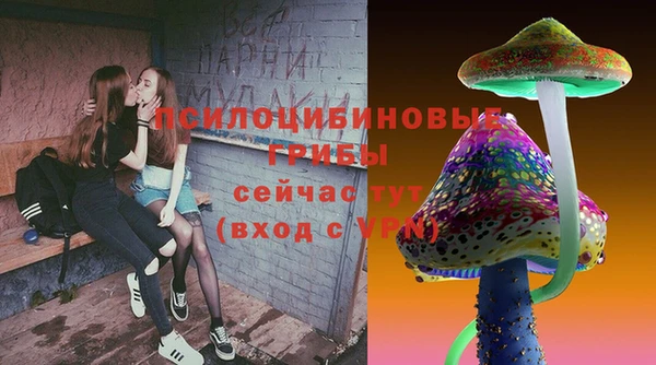 соль ск Алзамай