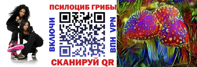 Псилоцибиновые грибы Psilocybe  ОМГ ОМГ зеркало  Талдом  где купить  
